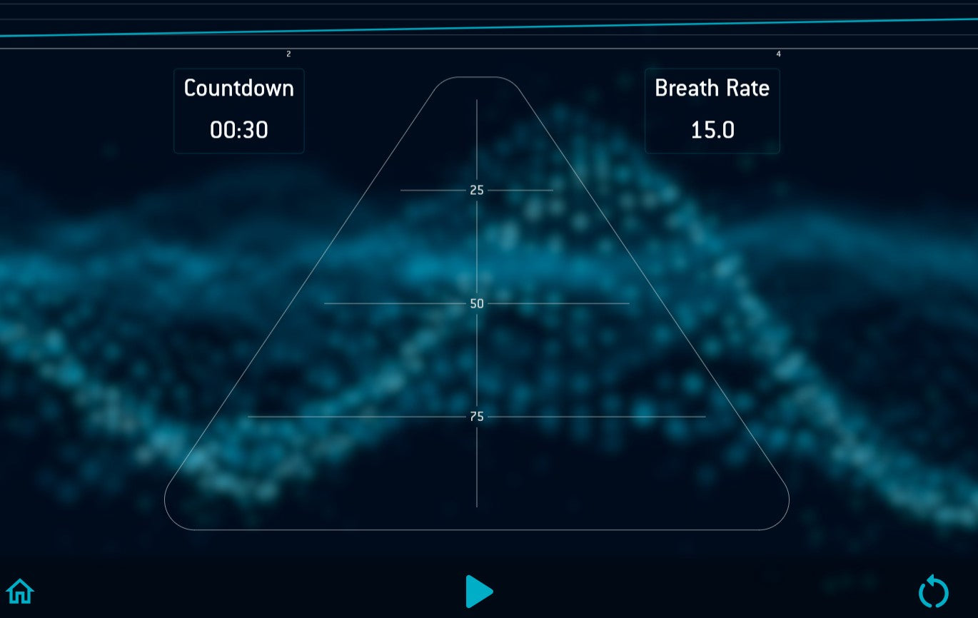 One month custom BWB coaching